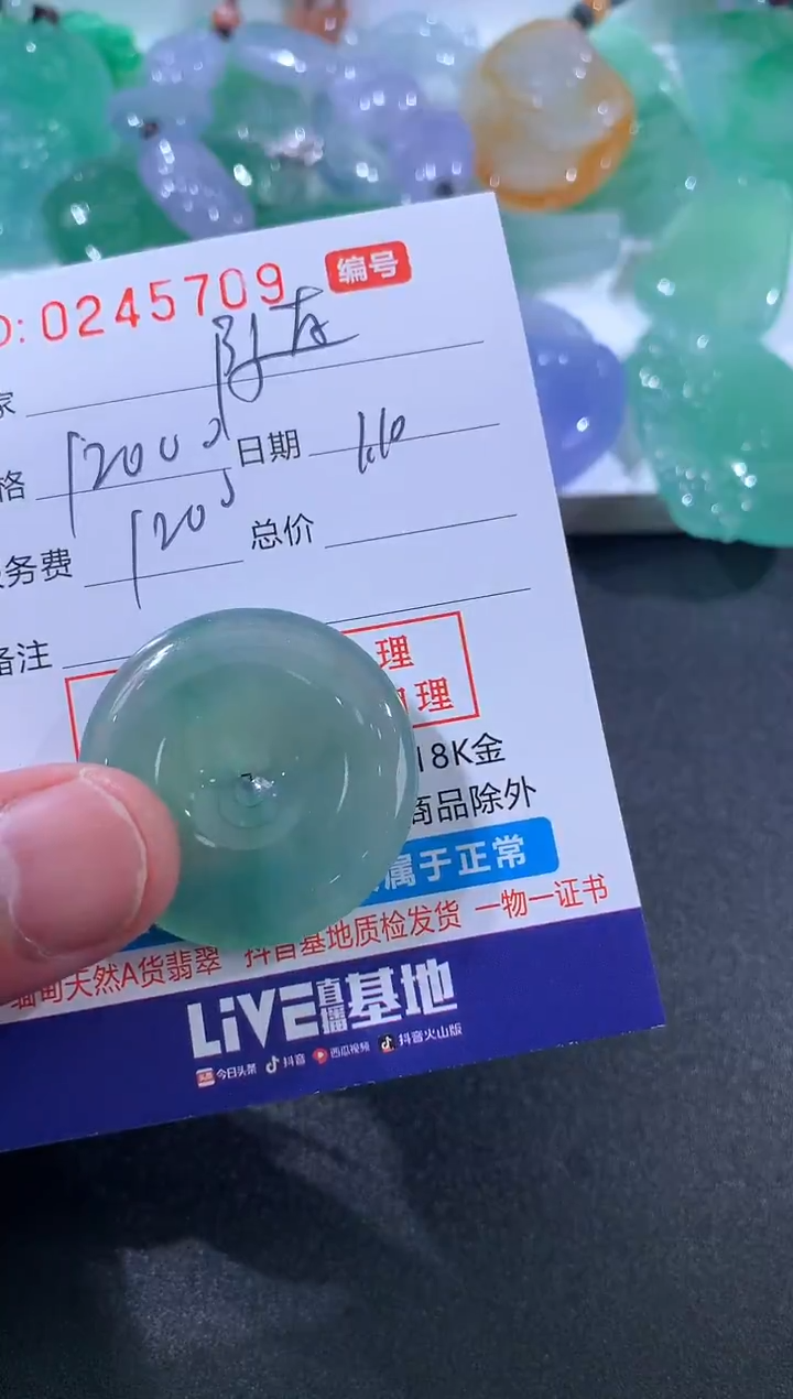【闪购商品】翡翠颈饰未镶嵌随