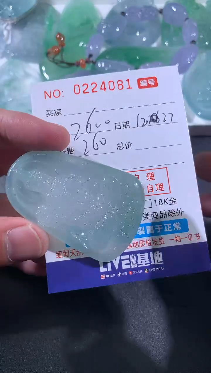 【闪购商品】翡翠颈饰未镶嵌定制！多样性发其一！！！