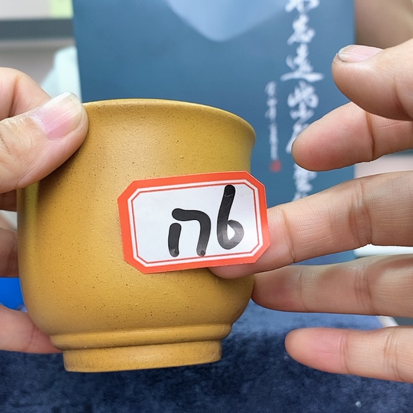 【闪购商品】紫砂茶壶176