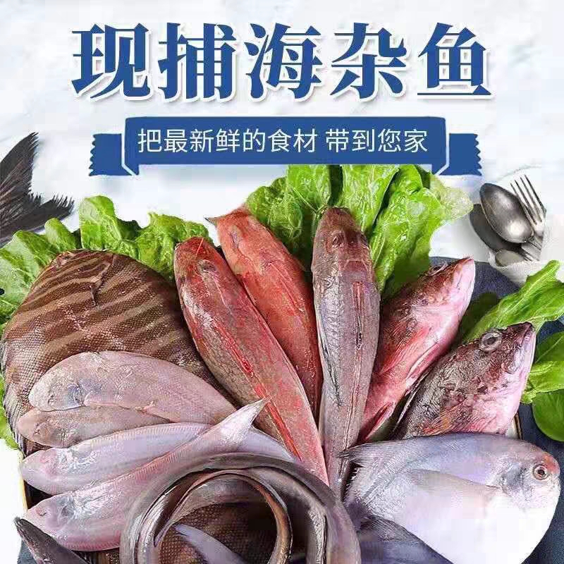 自选1直播间现场称重帮忙去头去内脏切段专用链接拍完不退不换