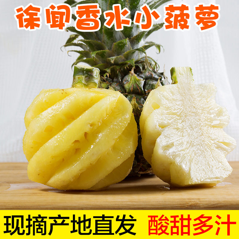 现摘徐闻香水菠萝新鲜水果非泰国香水小菠萝凤梨成熟香甜多汁食用