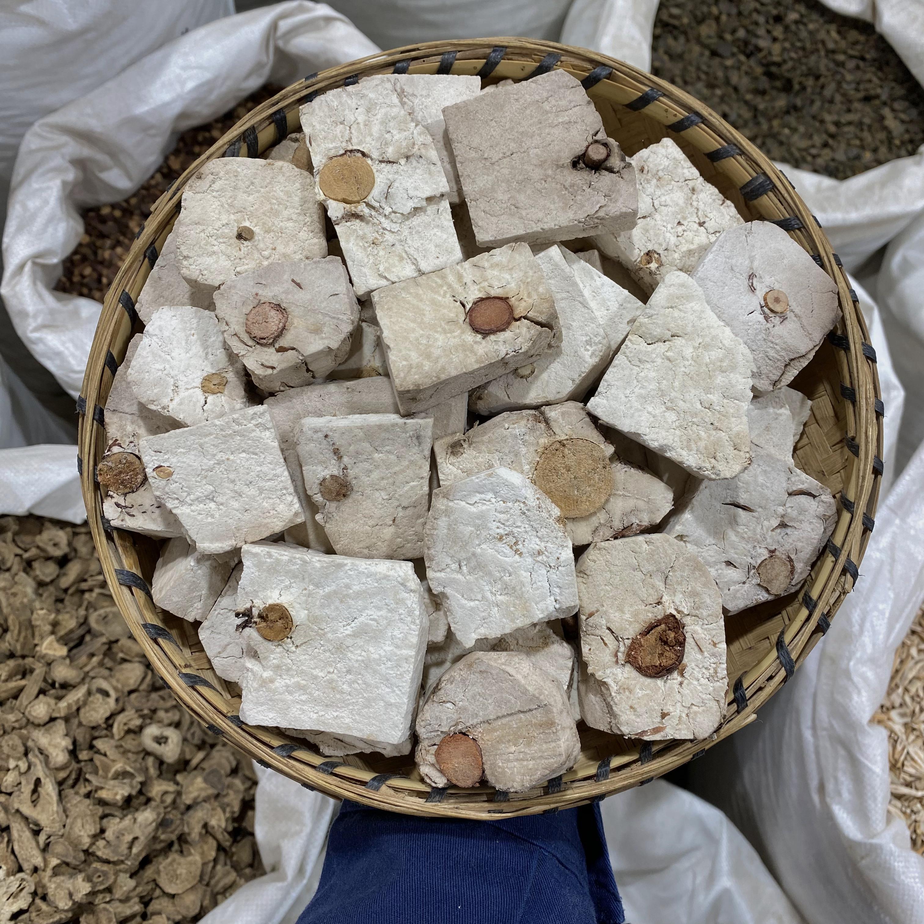 伏神 中药材云南伏神老树根伏神片茯神木有心伏神100g起购