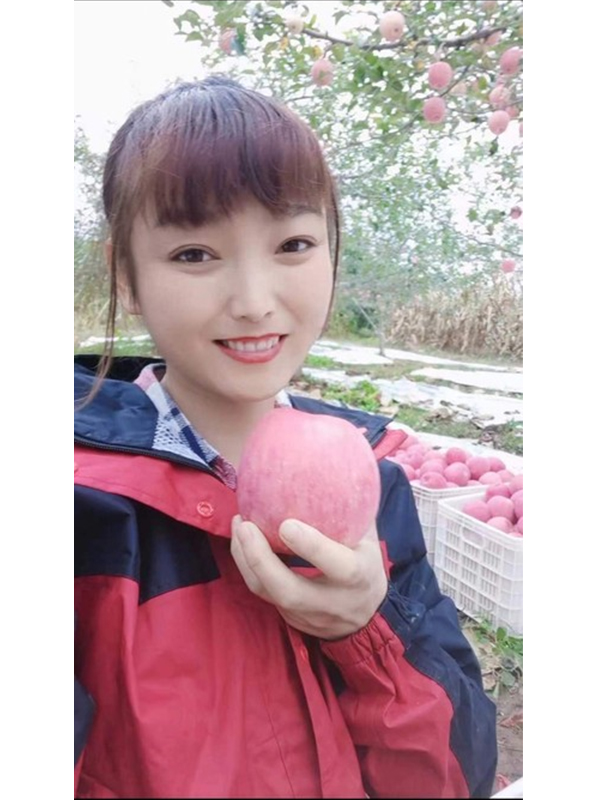 宜君县心月果业中心晚熟红富士苹果
