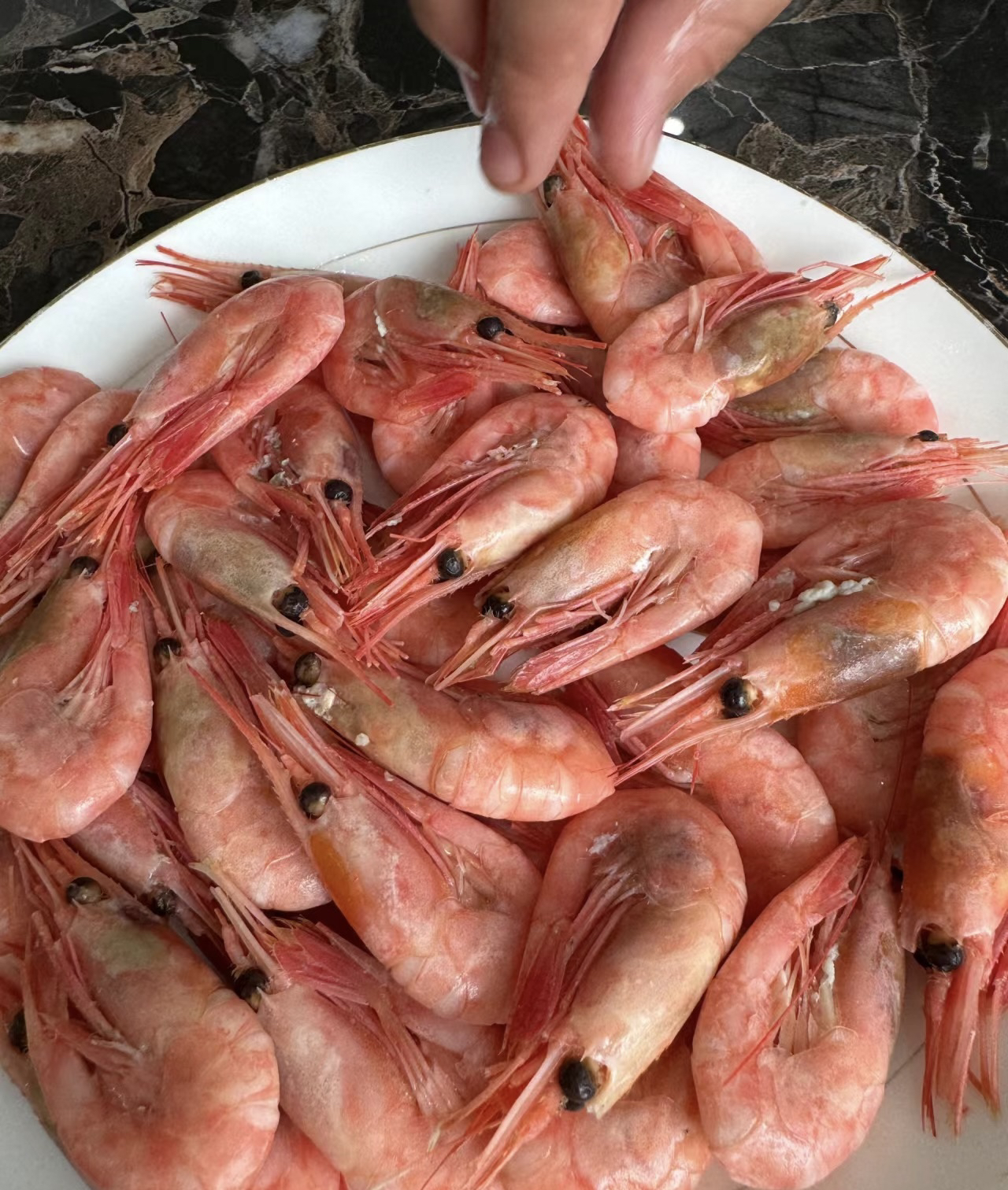 皇冠北极冰虾120-150   