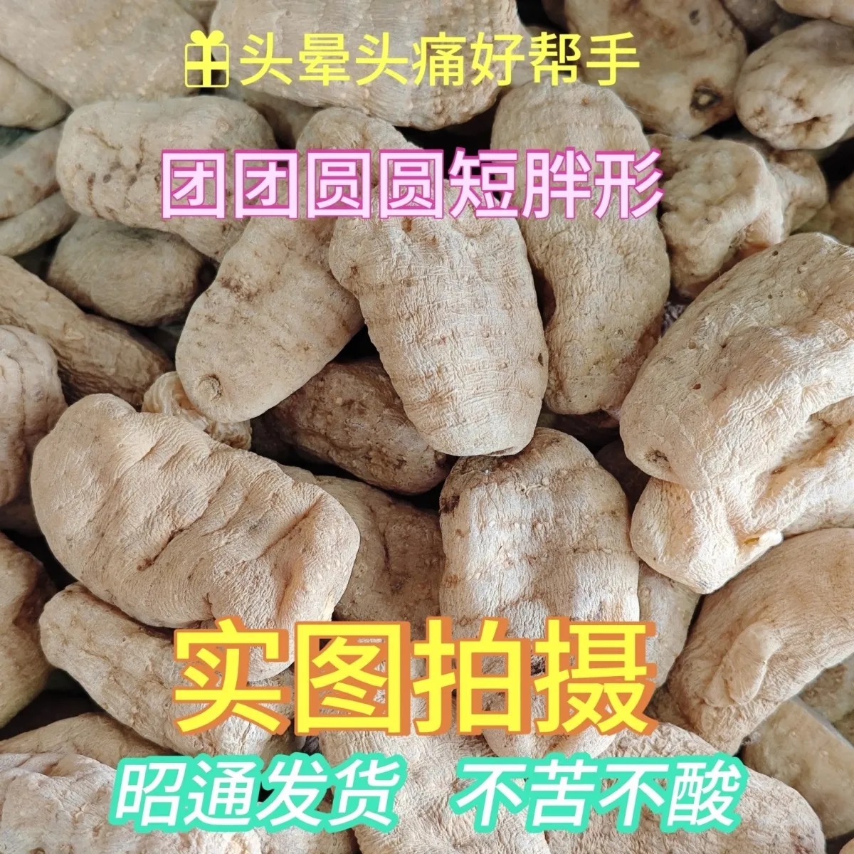 云南昭通小草坝深山干天麻可打粉切片煲汤泡酒包邮产地新鲜天麻