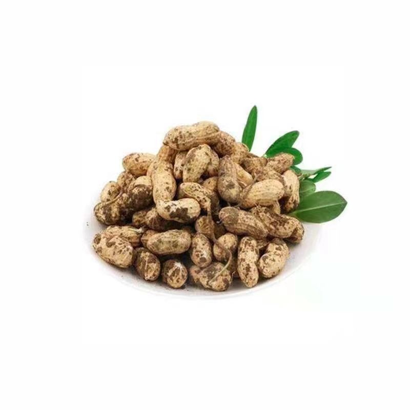 【淮扬美味 源头供销】淮阴区北吴集当季现摘鲜湿生吃水煮生鲜花生