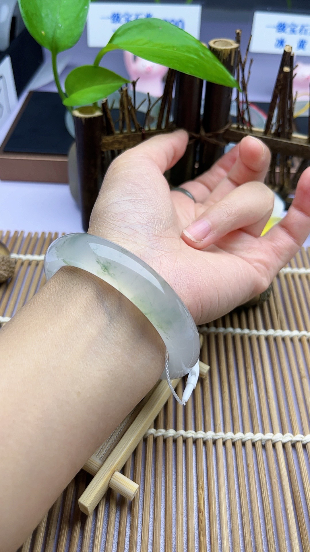 金丝玉宝石光手镯53圈口精品白色时尚少女白手镯浅绿气质冰透高冰