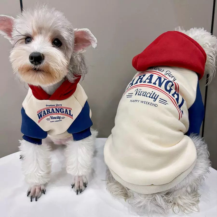 秋冬款狗狗衣服宠物卫衣拼色加绒中小型犬泰迪比熊博美雪纳瑞衣服