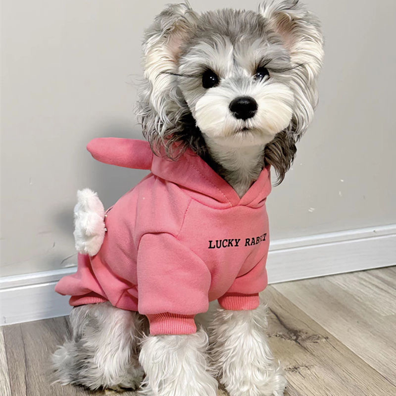 狗狗衣服秋冬款宠物加绒卫衣连帽牛角加厚保暖比熊雪纳瑞猫咪衣服