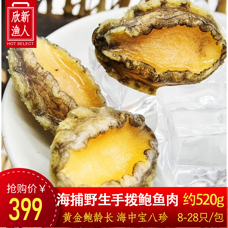 【520g-540g鲜冻装】纯九孔海捕鲍鱼鲜活海鲜去壳去内脏鲍鱼肉鲍汁