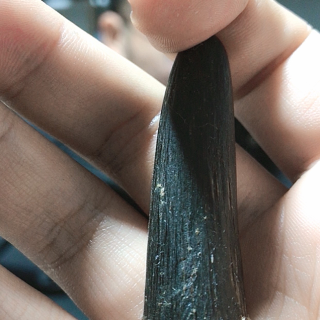 【闪购商品】牛角根雕