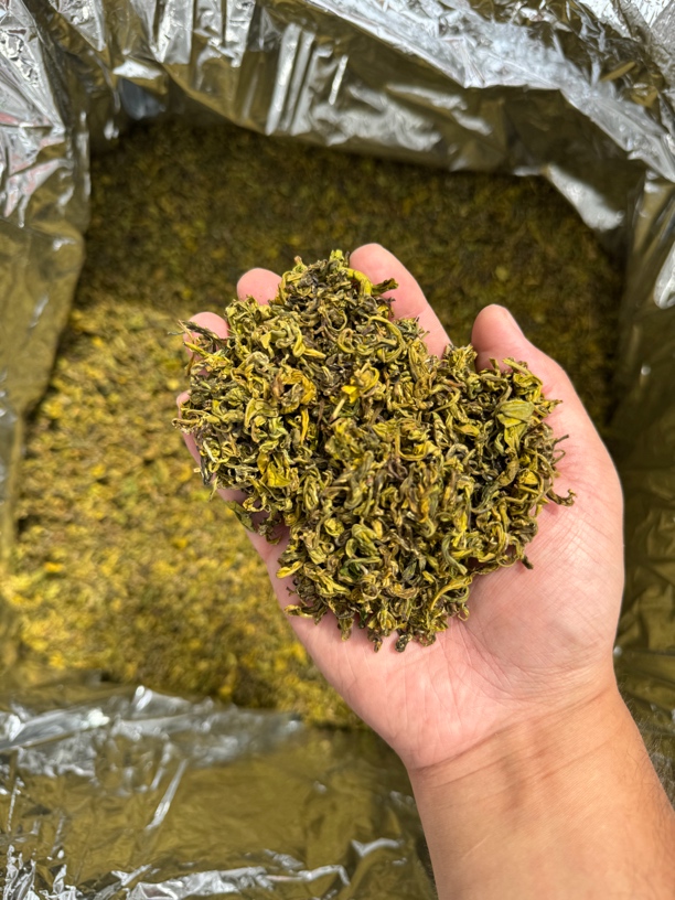 手工黄金芽2025新茶浓香耐泡7