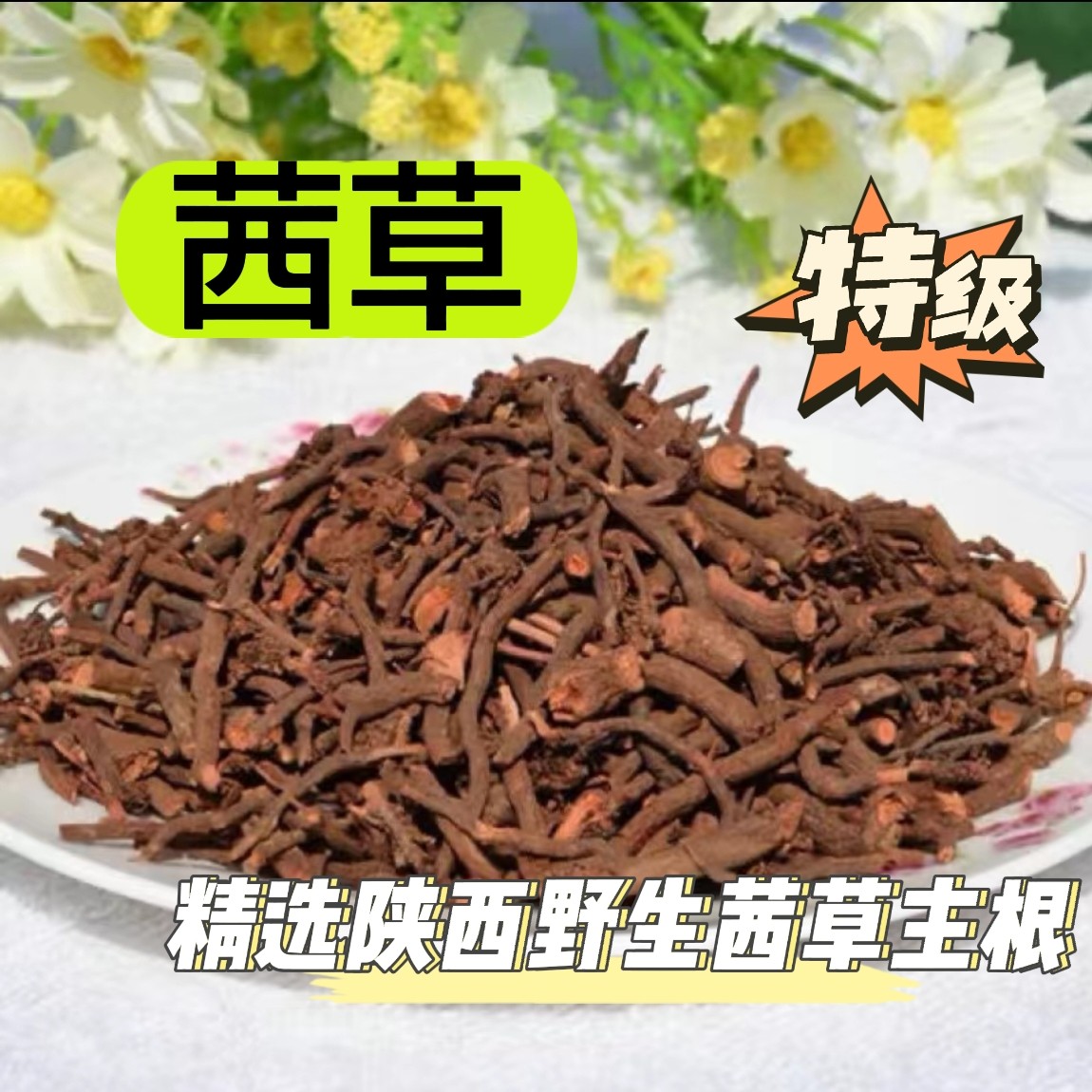 【倪师推荐】茜草 生地 优选纯正陕西野生茜草纯根 精选生地 