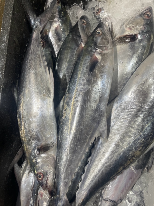 惠来神泉本港正白鱼洗杀好1盒8两5盒广东省包邮