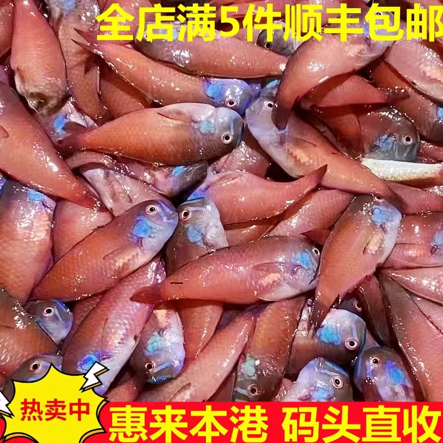 惠来神泉本港红心仔5斤广东省包邮