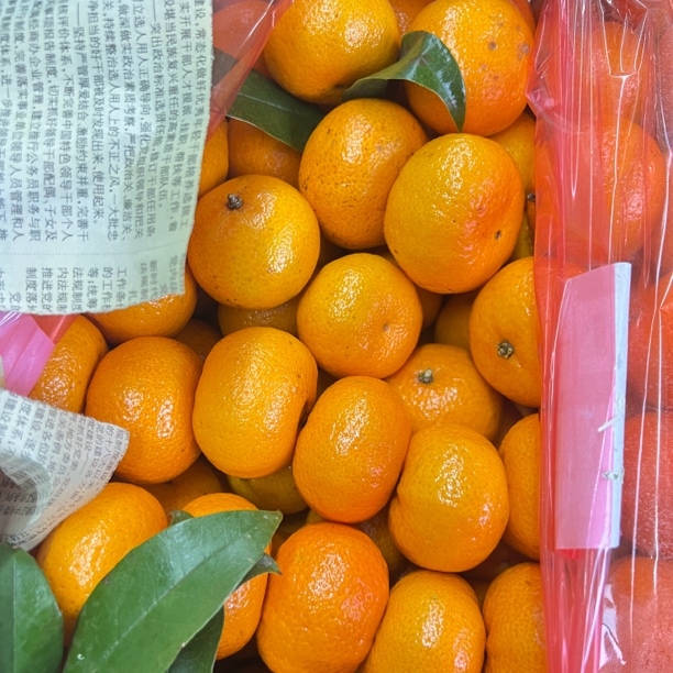 广西砂糖橘  5斤装 酸甜可口 包邮 现货现发