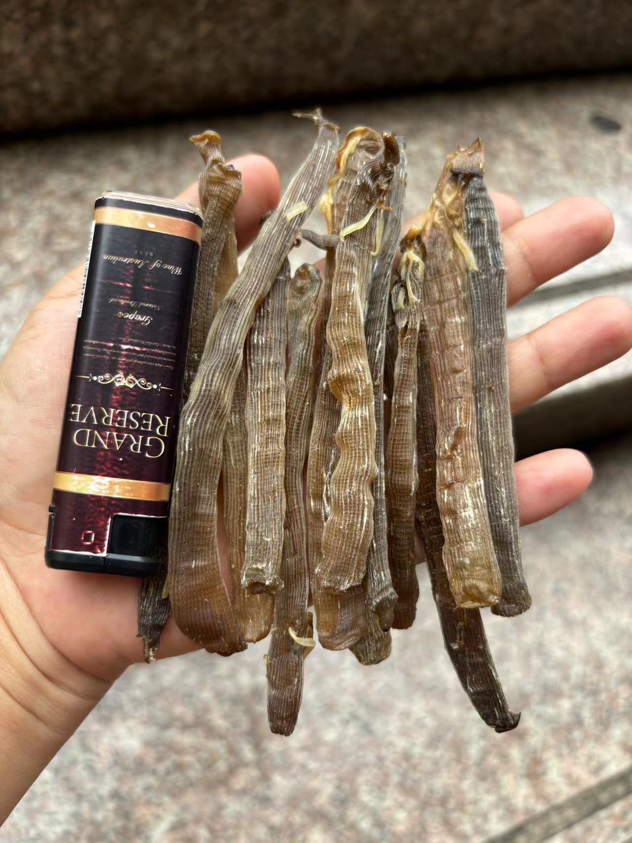 大号野生黑沙虫干净沙煮粥煮汤油炸原汁原味