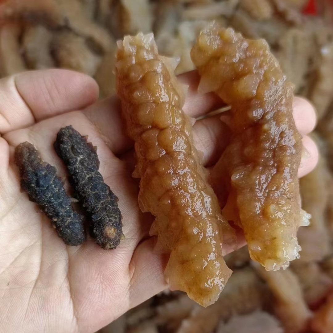 野生小黑刺参一斤5-6斤