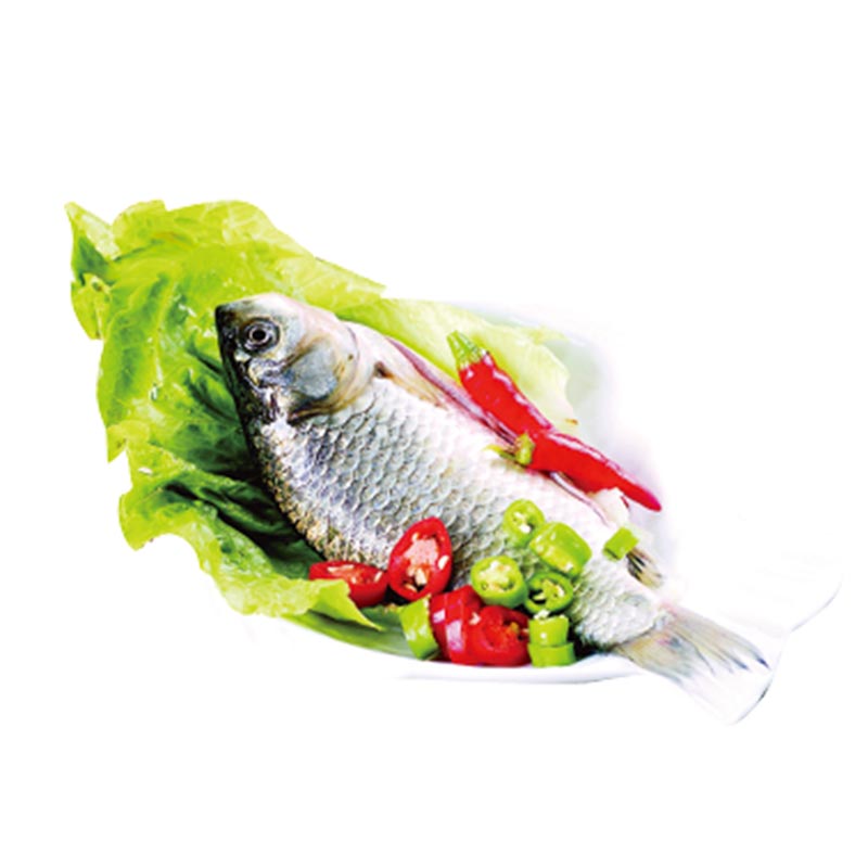 鲫鱼500g±100g/份