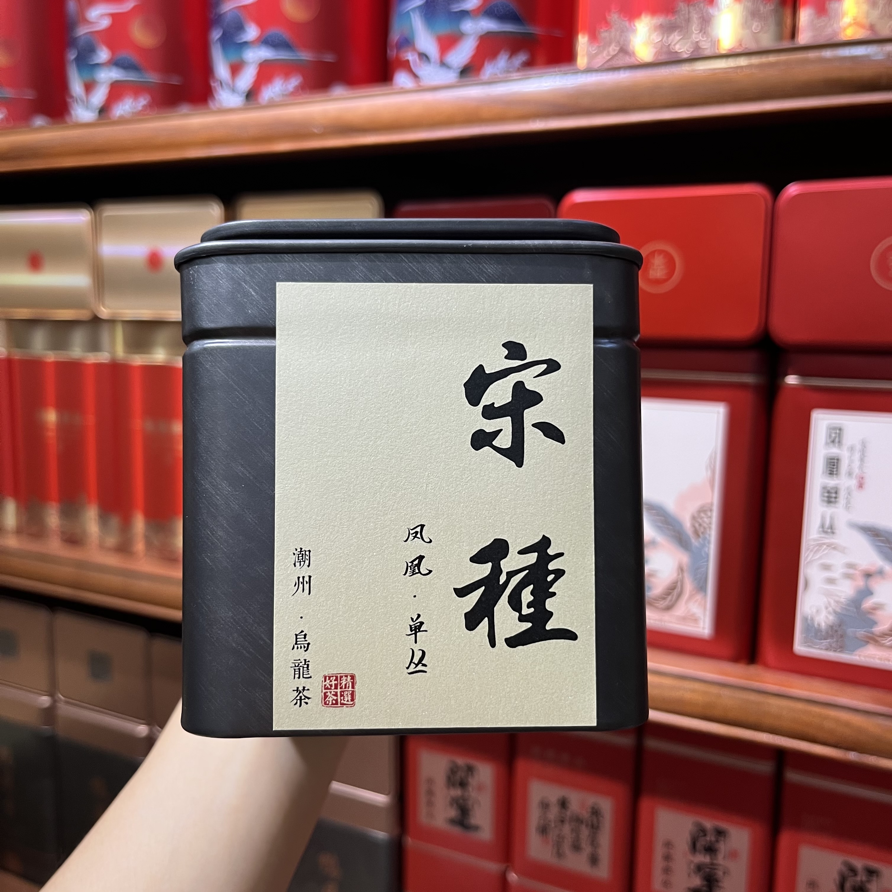 潮州凤凰单丛宋种 高山老枞宋种 单枞茶叶 铁罐装