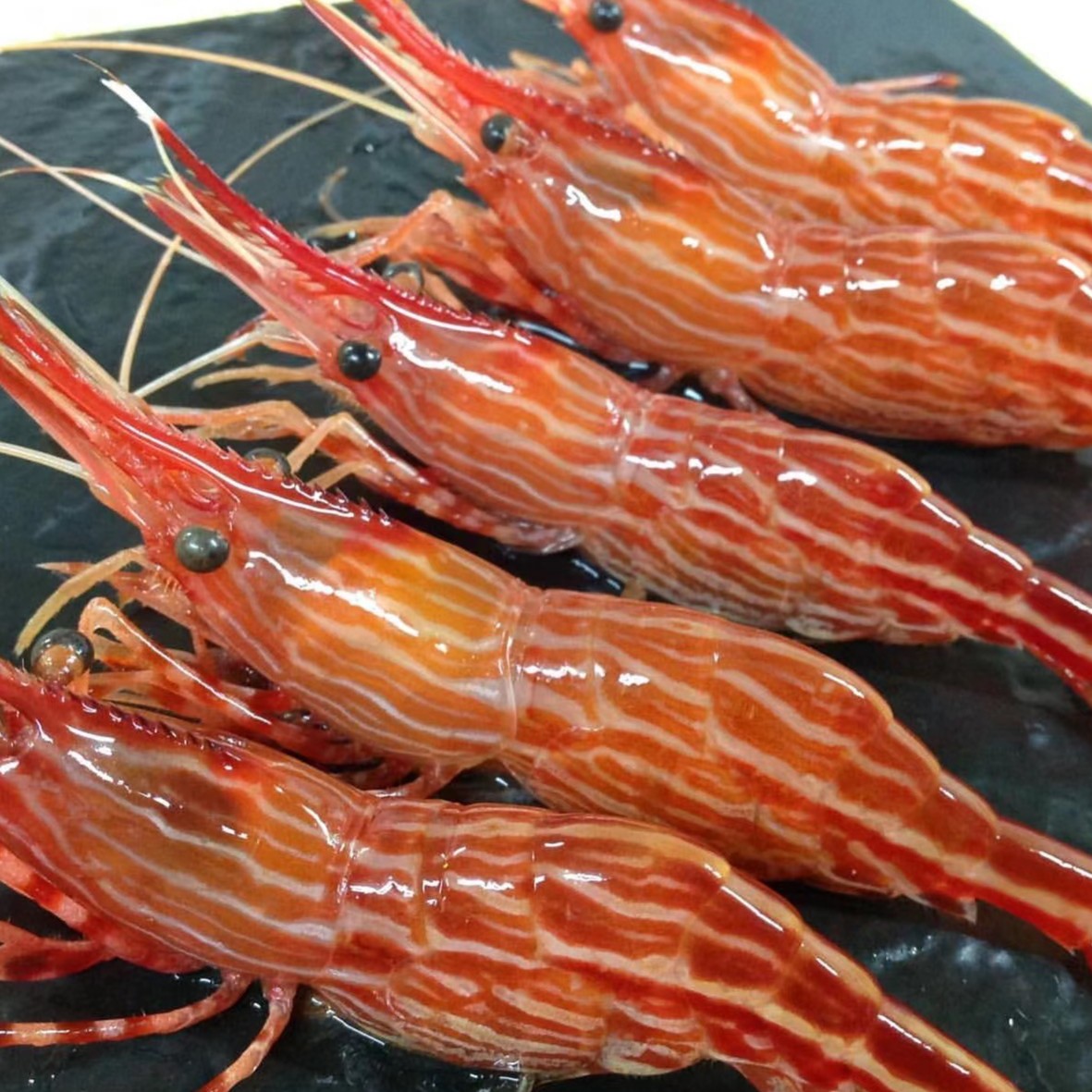 牡丹虾20元【一只】