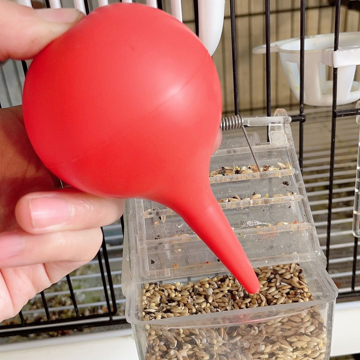 鸟用粮食吹皮器 鸟粮手动吹皮器