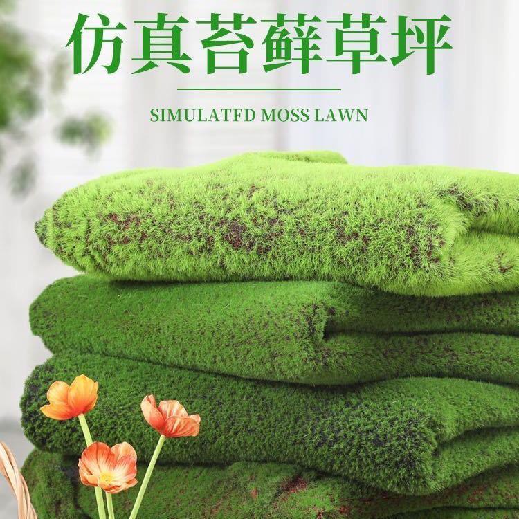 仿真苔藓造景草坪草皮diy青苔植物景观装饰绿植盆景铺面人造