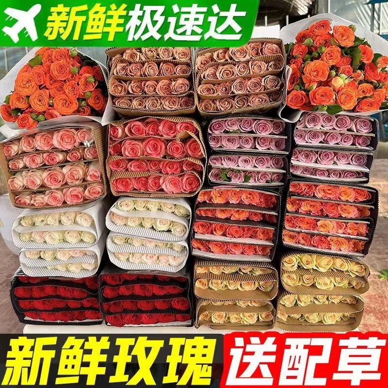 鲜花云南昆明玫瑰花束基地直发包邮百合向日葵直批家用水养瓶插花