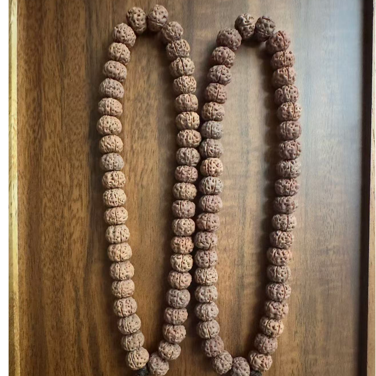 小金刚菩提（粉丝福利）