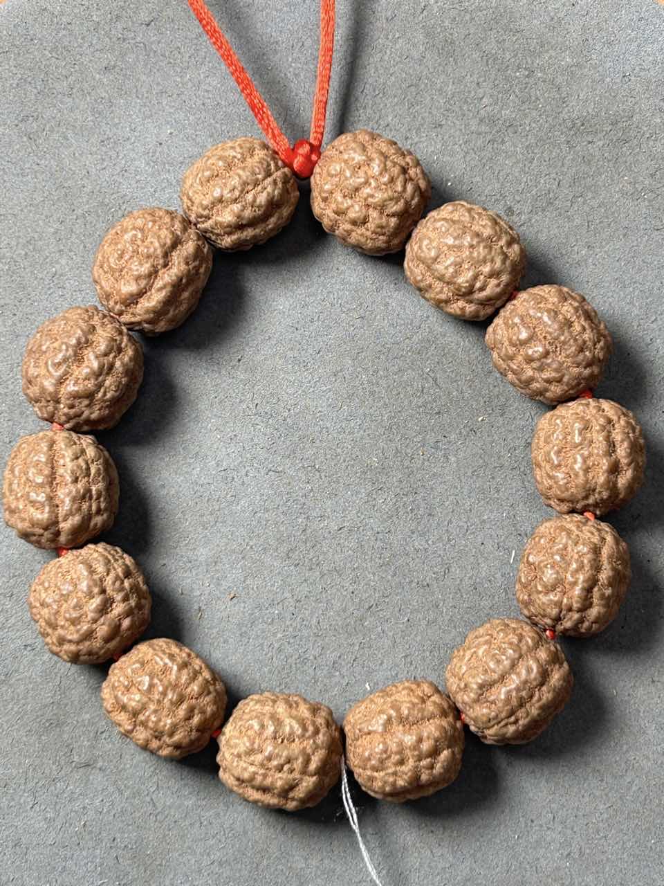 MLJ碧根果一代大魔王尺寸13-21+钢丝刷