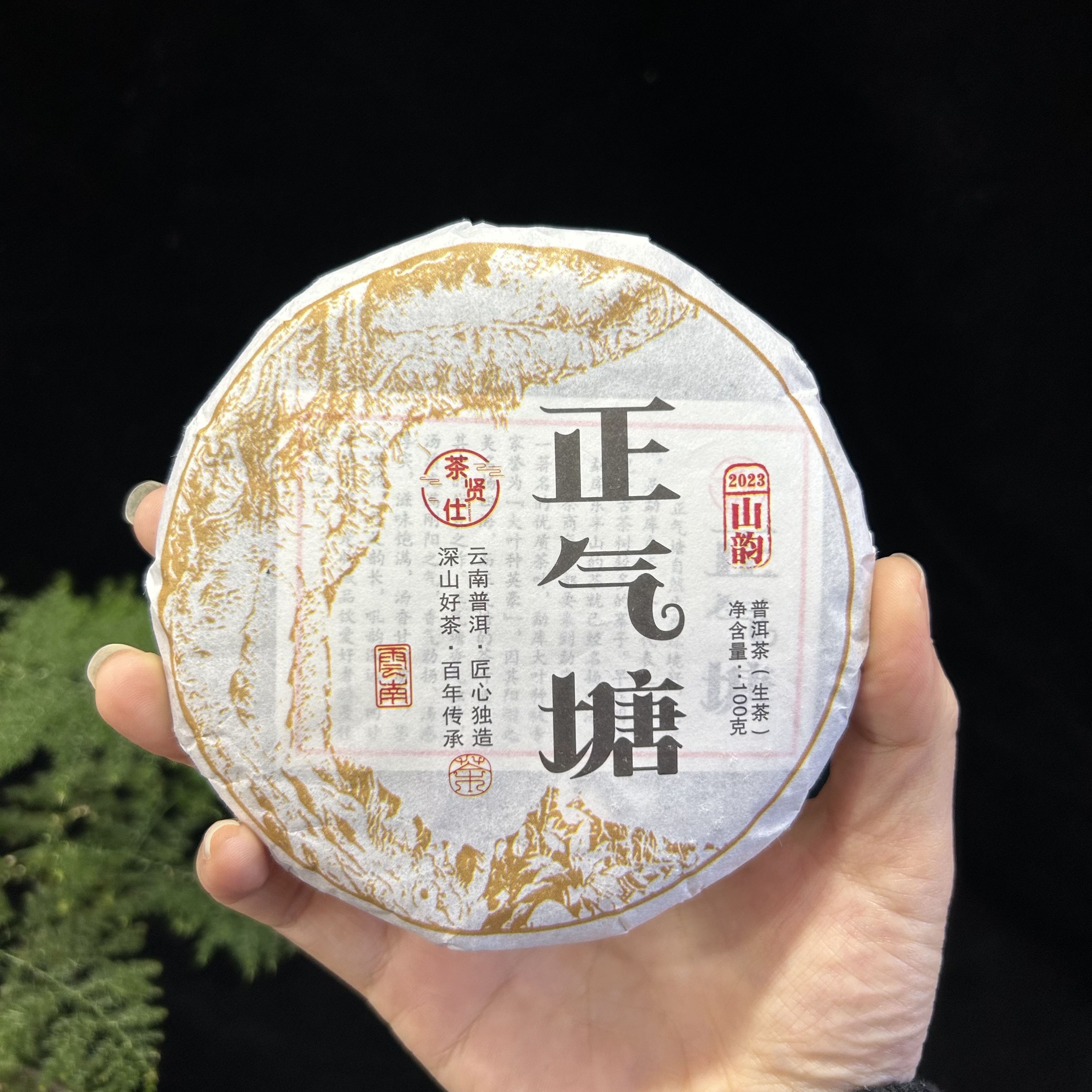 正气塘100/饼普洱茶2023（茶叶普洱茶饼生普洱茶饼