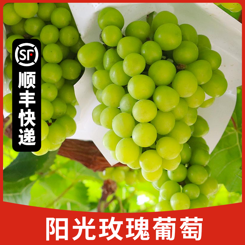 自然搭档 陕西阳光玫瑰葡萄净重4斤当季新鲜水果顺丰快递tz