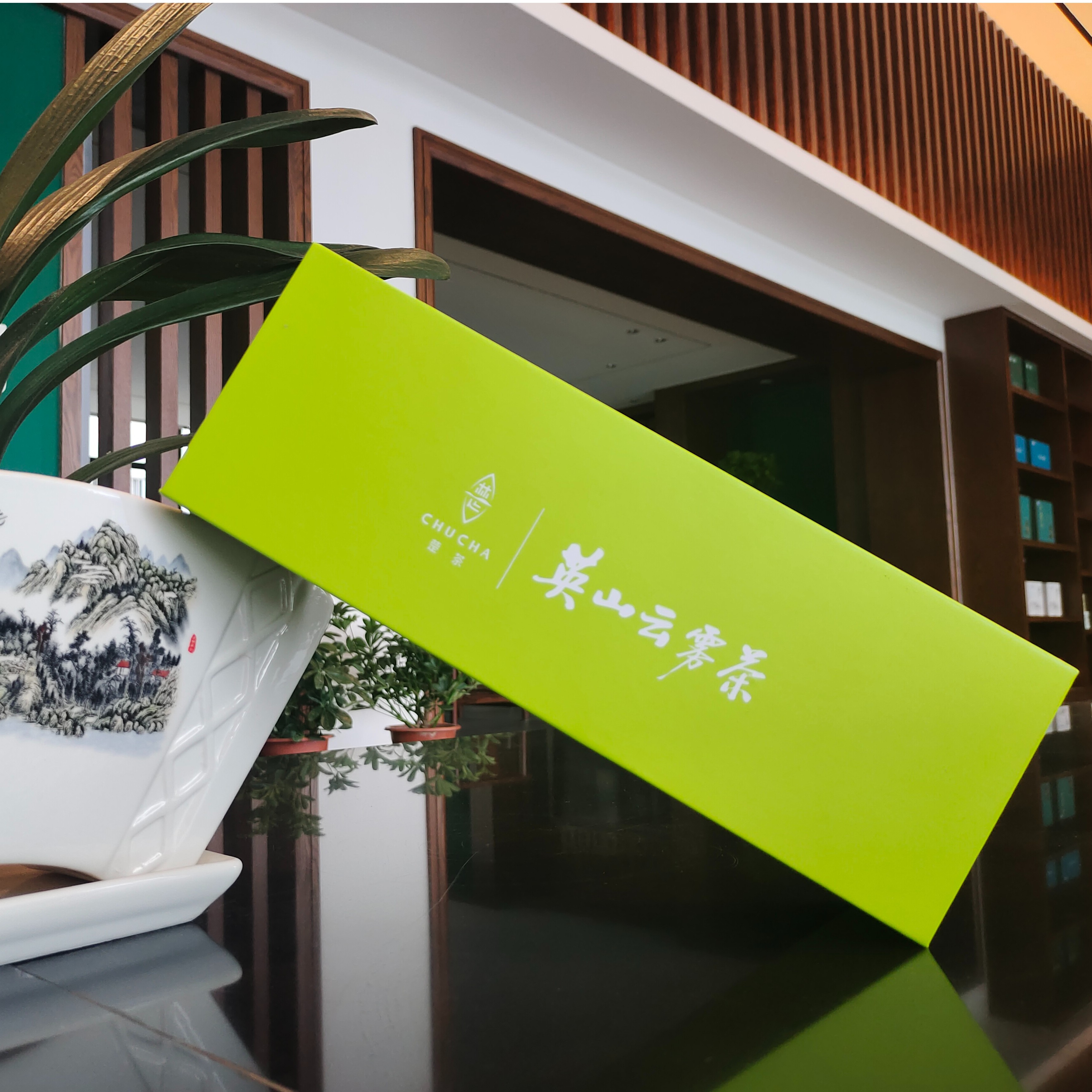 2025明前头采毕昇英山云雾茶半手工绿茶英山地标特产