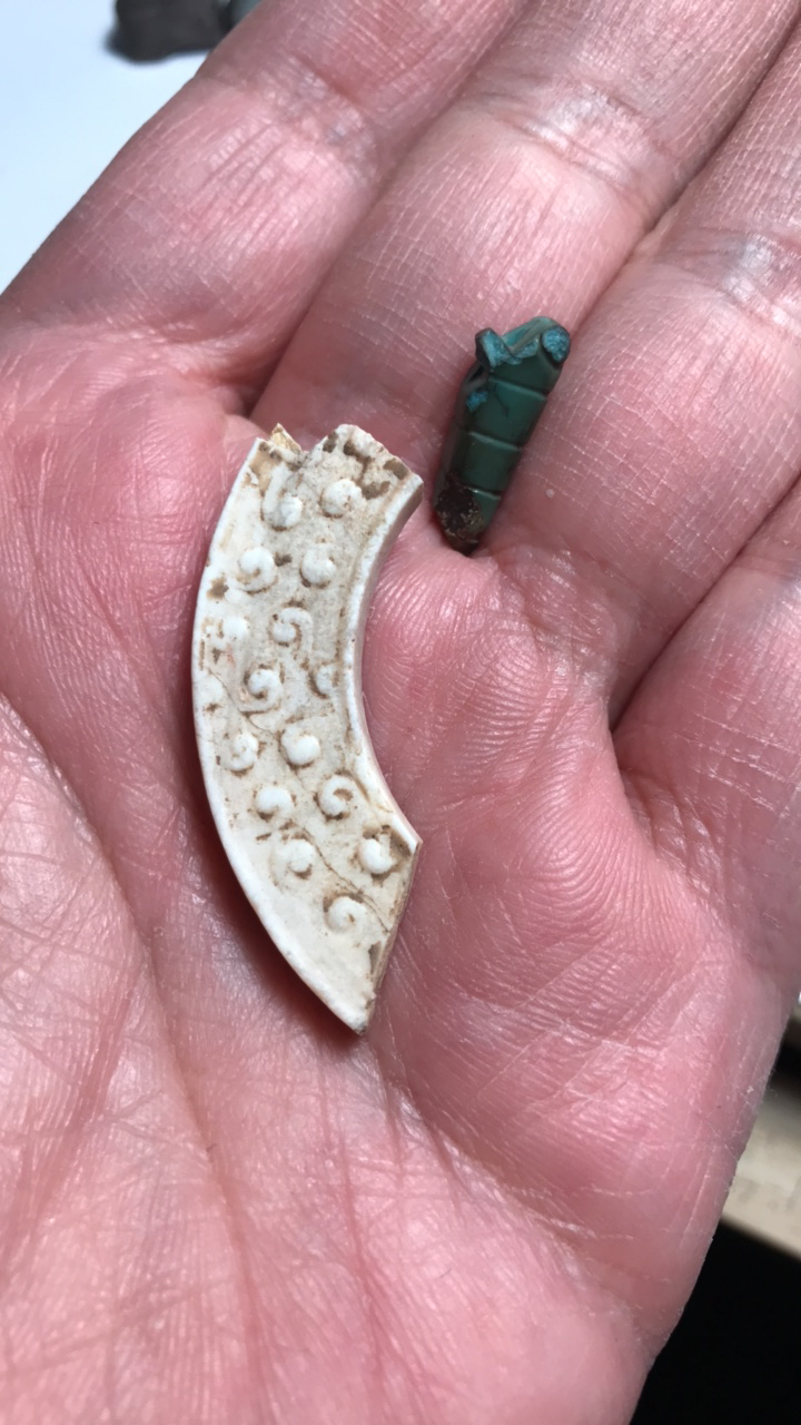 两个小标本，学习好老师