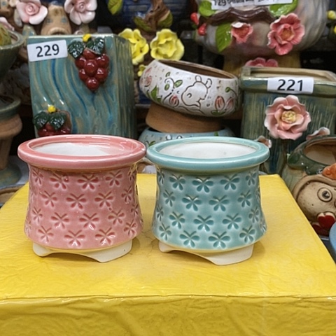 【闪购商品】红陶1