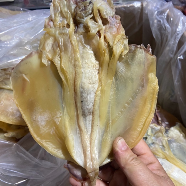 福建大目鱼干淡水目鱼