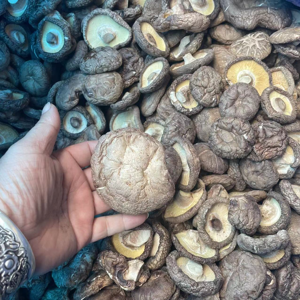 24年新香菇，香脆可口