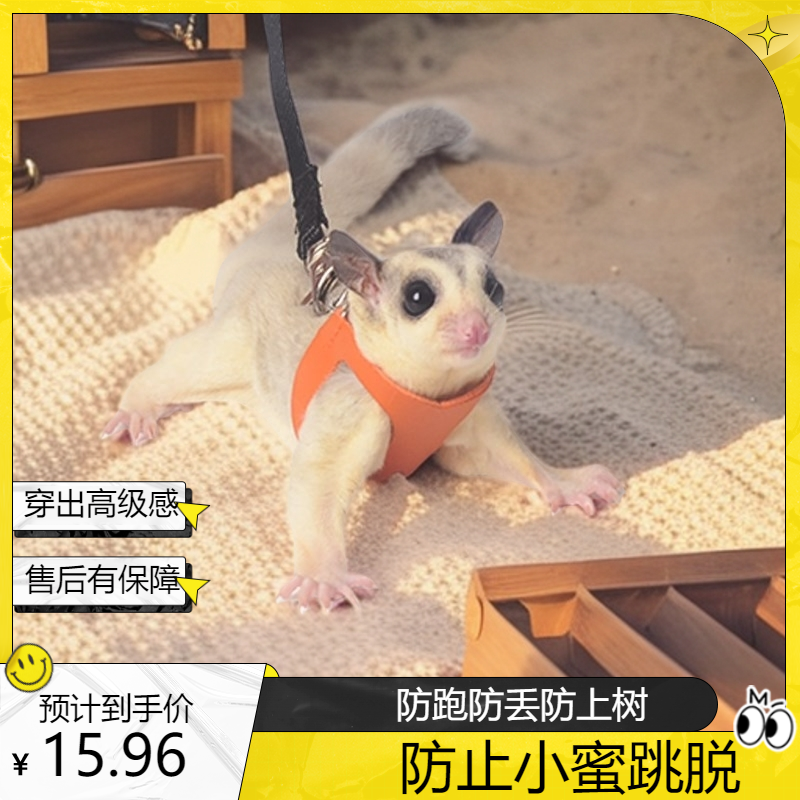 蜜袋鼯牵引绳背衣服小宠外带外出项圈用品防丢上树出行放风大中小