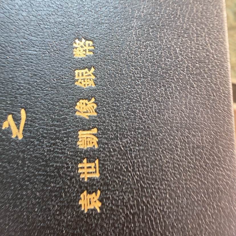 【闪购商品】密胺1