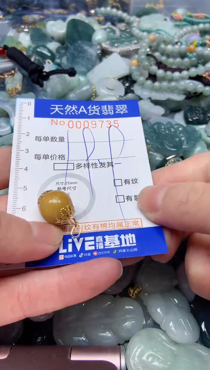 【闪购商品】翡翠颈饰未镶嵌735天然翡翠