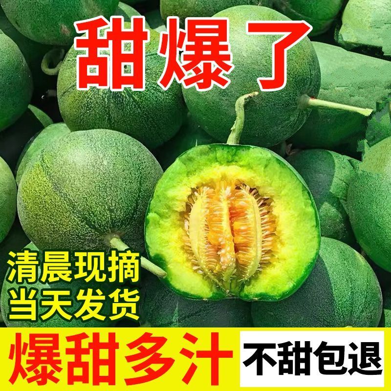 正宗东北头茬绿宝甜瓜绿宝石香瓜新鲜采摘脆甜可口整箱包邮