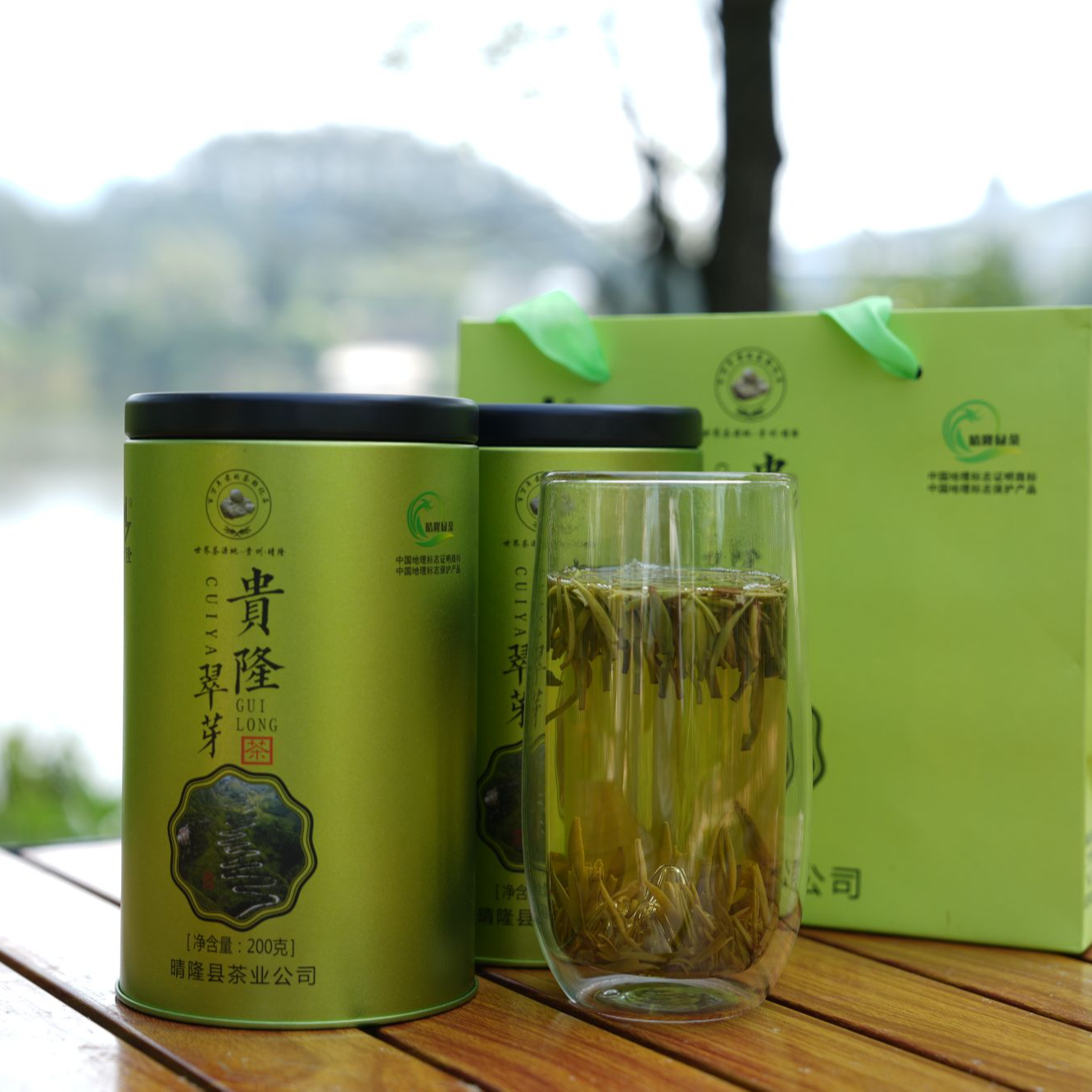 晴隆绿茶 贵隆翠芽 来自世界茶籽化石发掘地的高山云雾绿茶