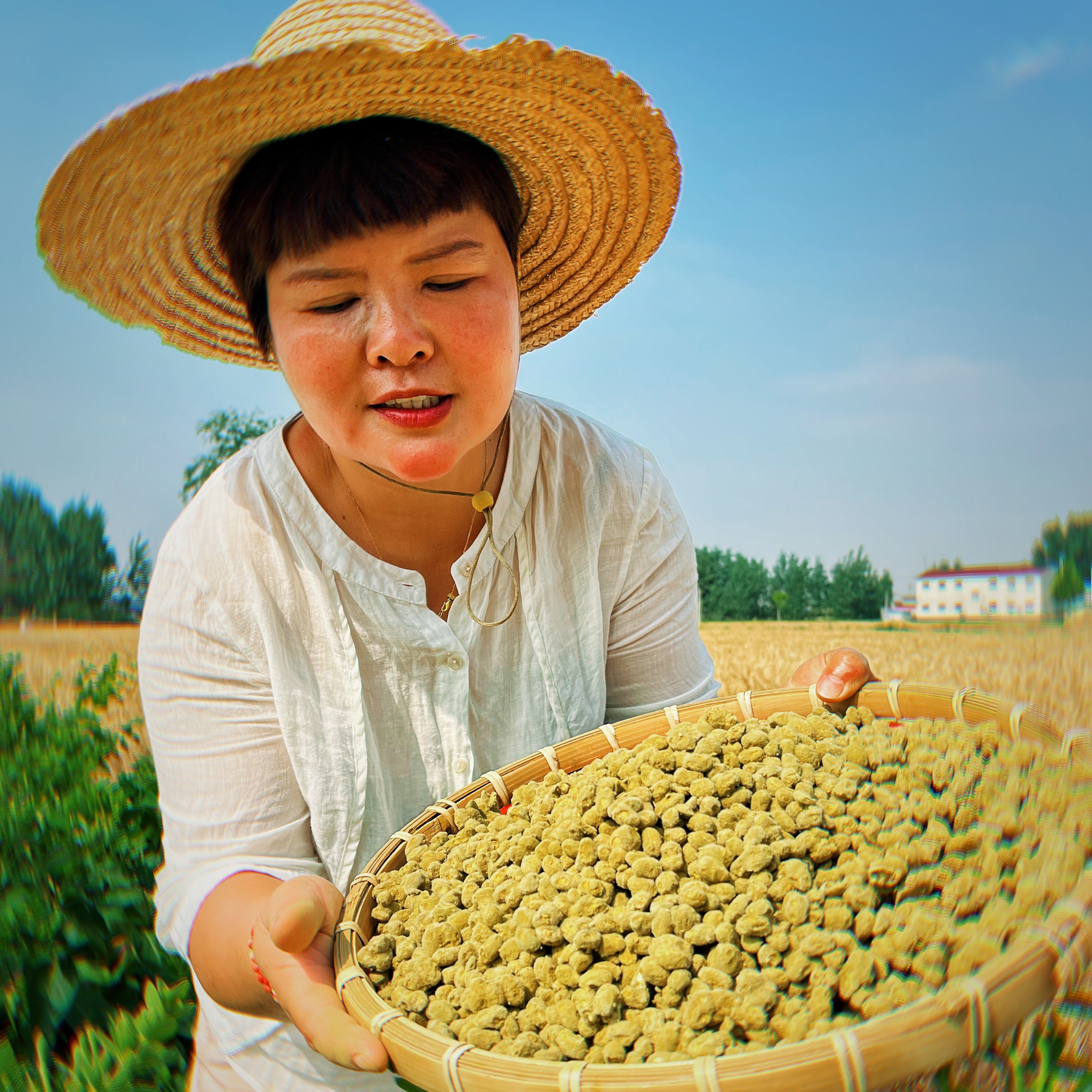 三妞自制霉黄豆   