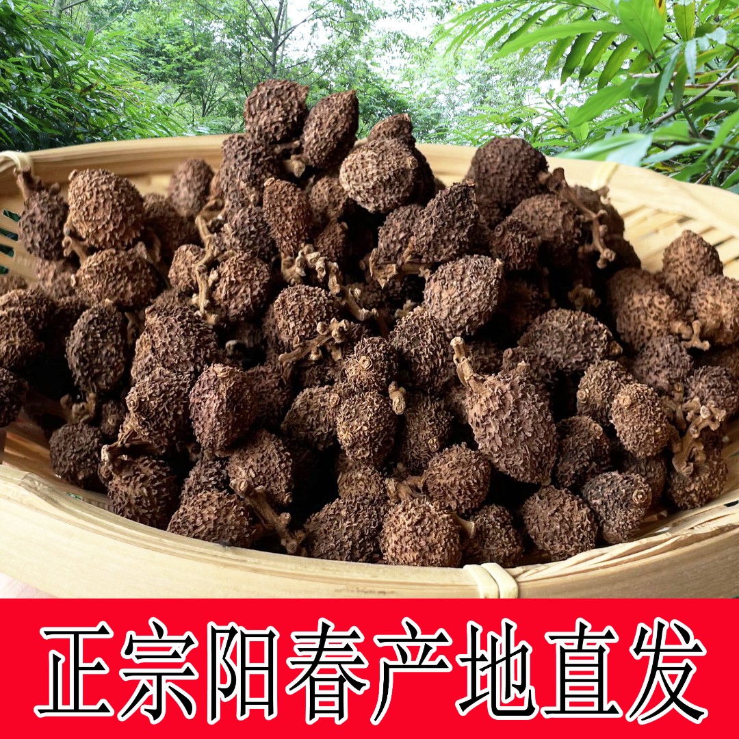 阳春【九仔坑春砂仁】阳春特产砂仁春砂仁煲汤料春砂仁食用养胃果