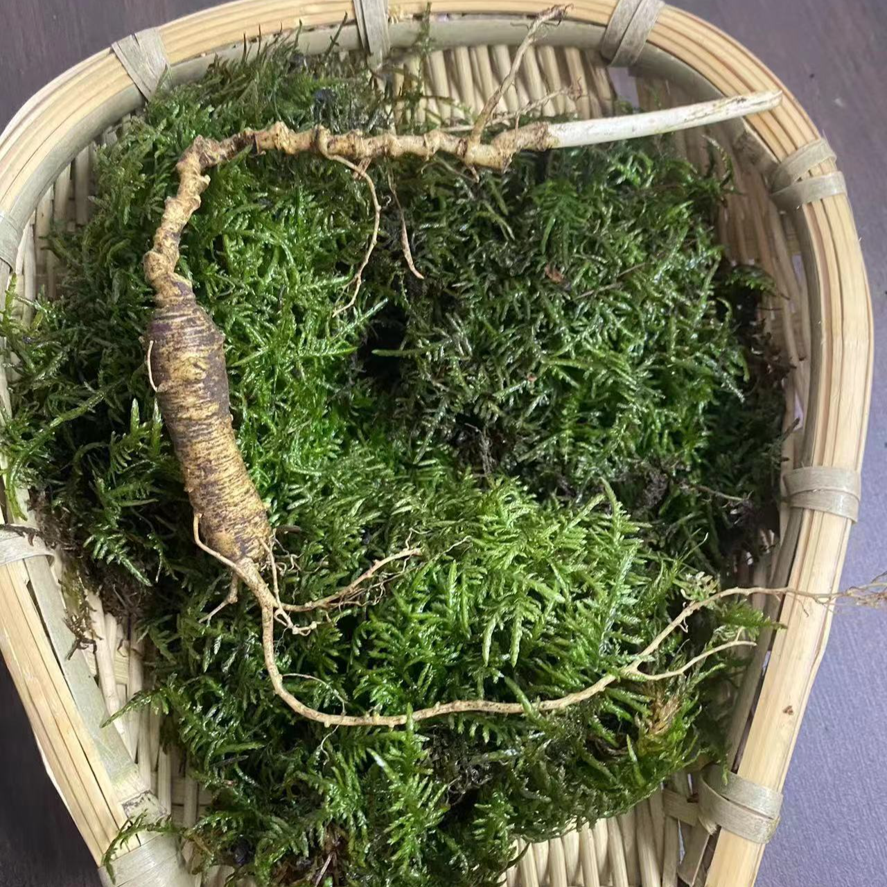 长白山跑山货，直播间改价链接送礼很有面子