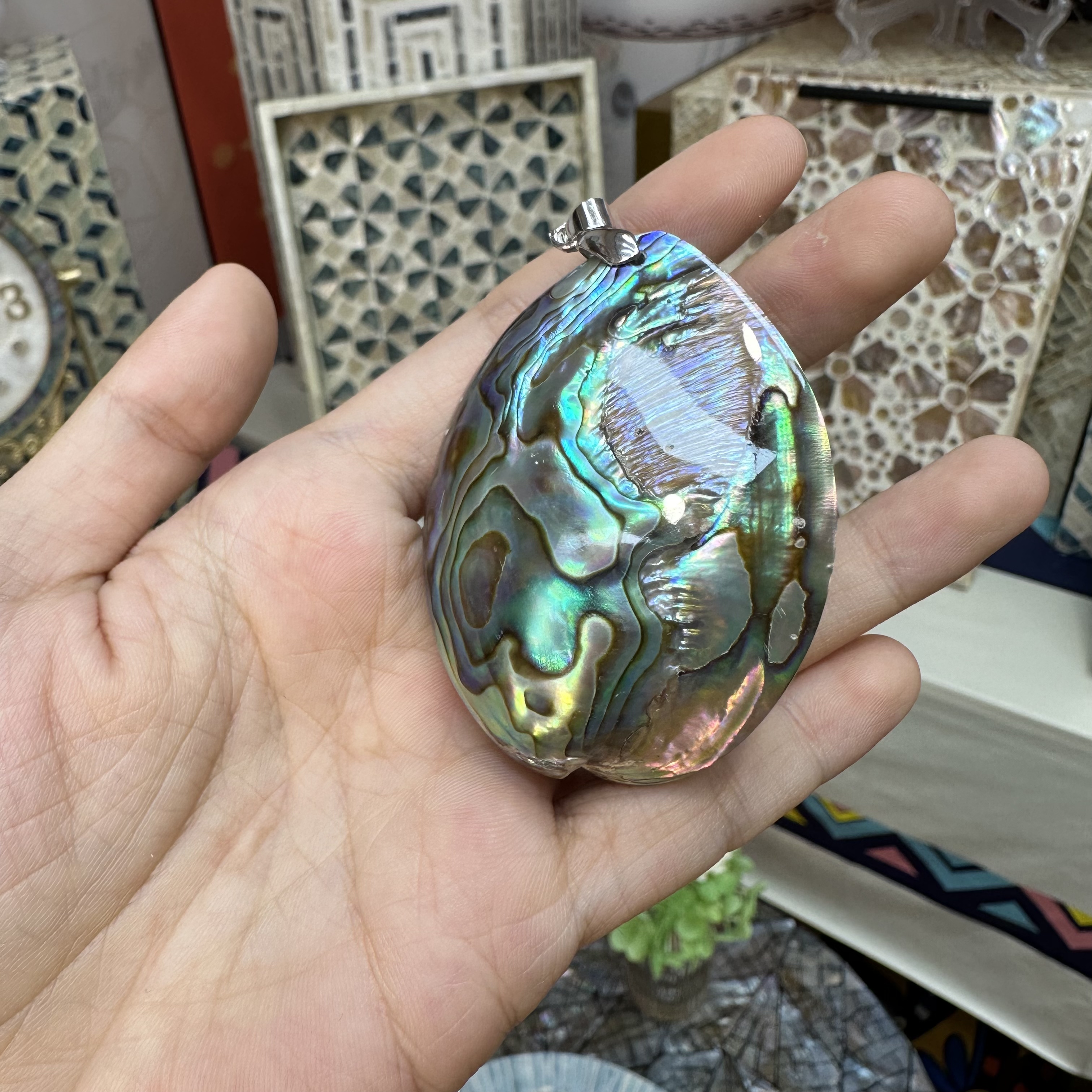 CC—超美澳鲍小贝壳