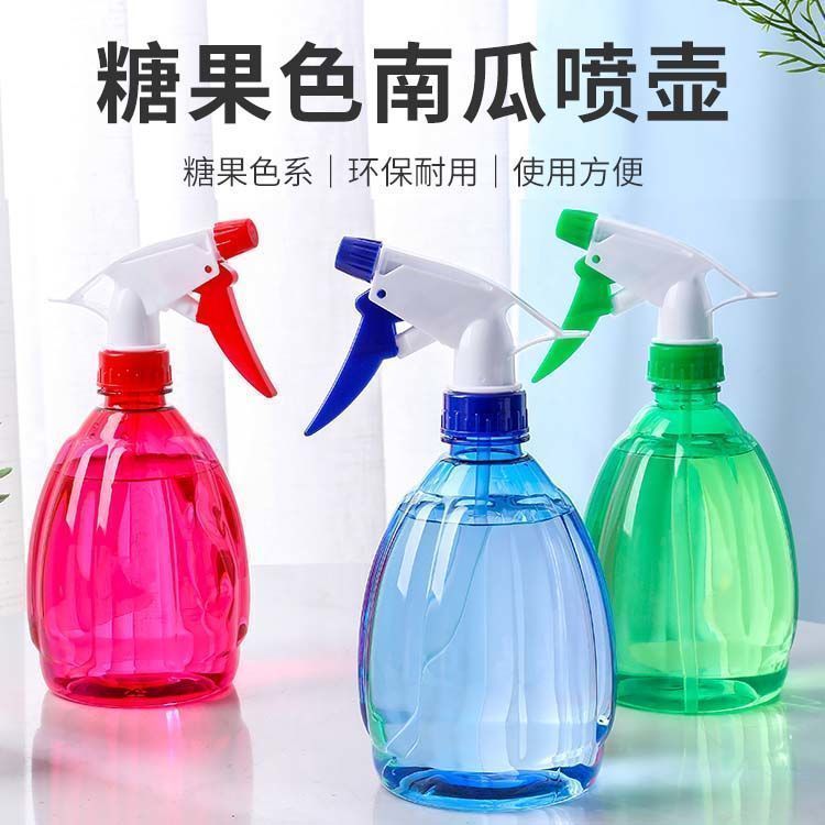 家用消毒喷水壶浇水壶手压式园艺小喷壶洒水壶浇花多肉植物喷雾壶