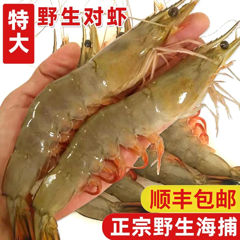 真野生大明虾鲜活冷冻超大海捕虾对虾特大虾新鲜海虾类海鲜水产