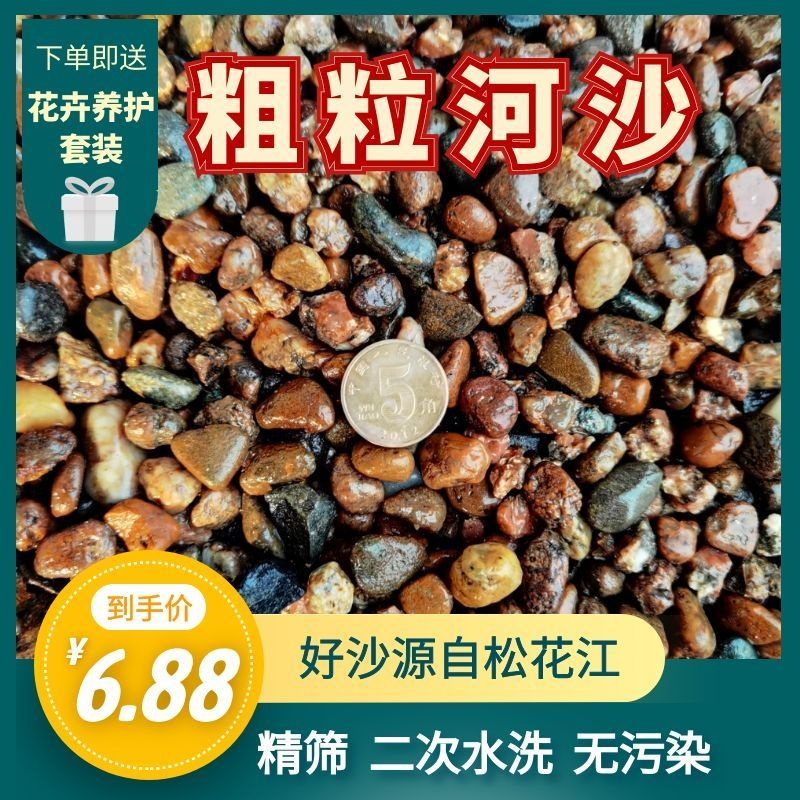 粗粒河沙江沙拌土沙铺面沙多肉铺面君子兰兰科花卉专用营养土沙子