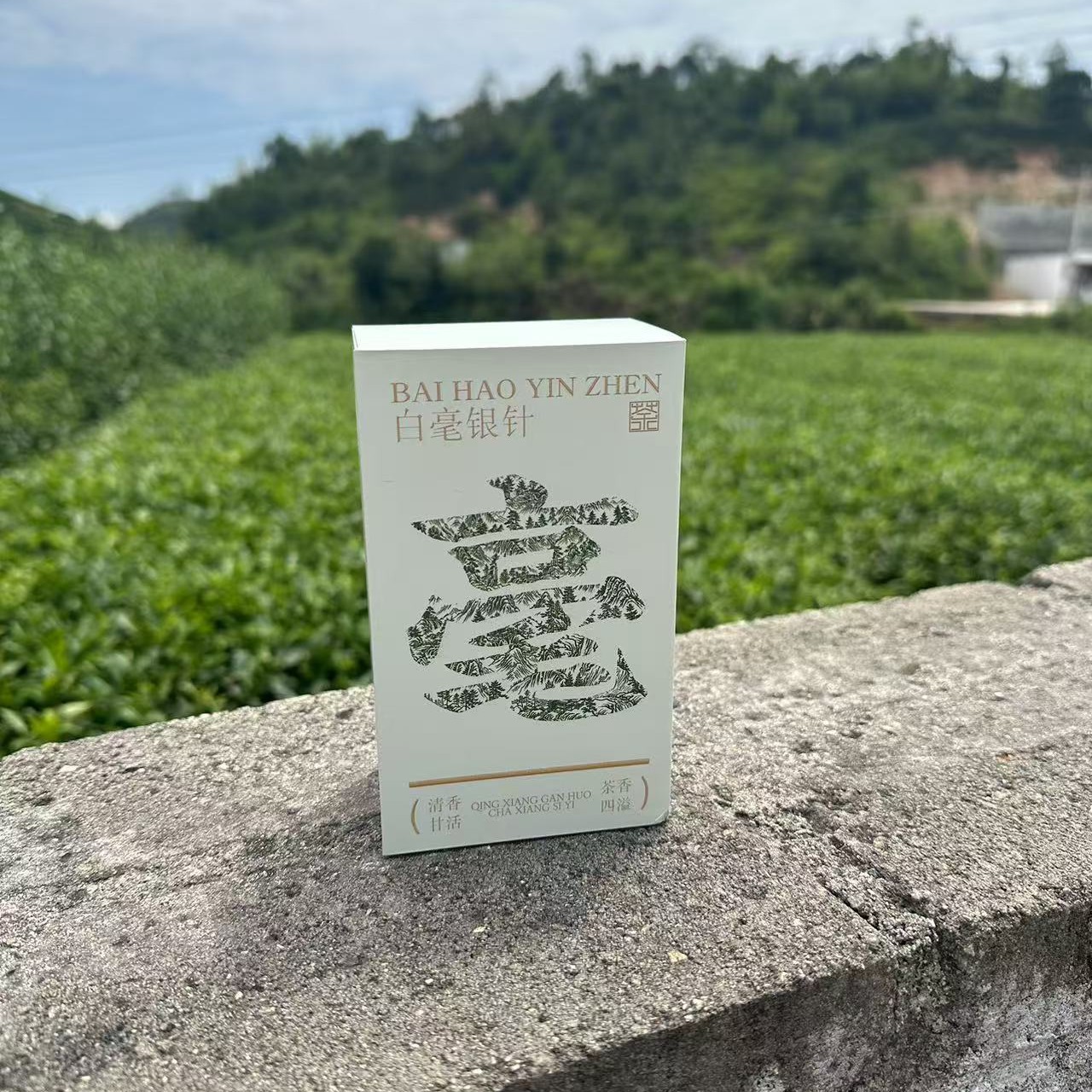 2018年福鼎太姥山头采白毫银针30g（可可香老银针）